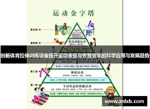 创新体育拉伸训练设备提升运动表现与恢复效率的科学应用与发展趋势
