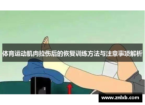 体育运动肌肉拉伤后的恢复训练方法与注意事项解析