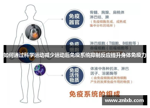 如何通过科学运动减少运动后免疫系统抑制反应提升身体免疫力