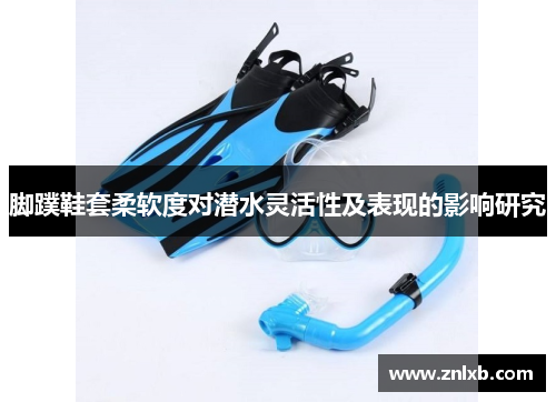 脚蹼鞋套柔软度对潜水灵活性及表现的影响研究