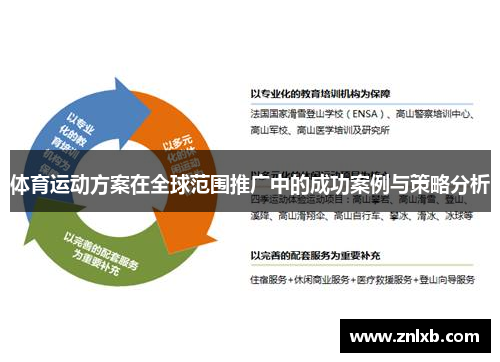 体育运动方案在全球范围推广中的成功案例与策略分析