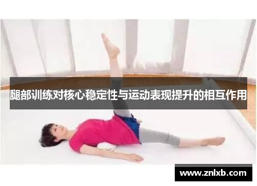 腿部训练对核心稳定性与运动表现提升的相互作用